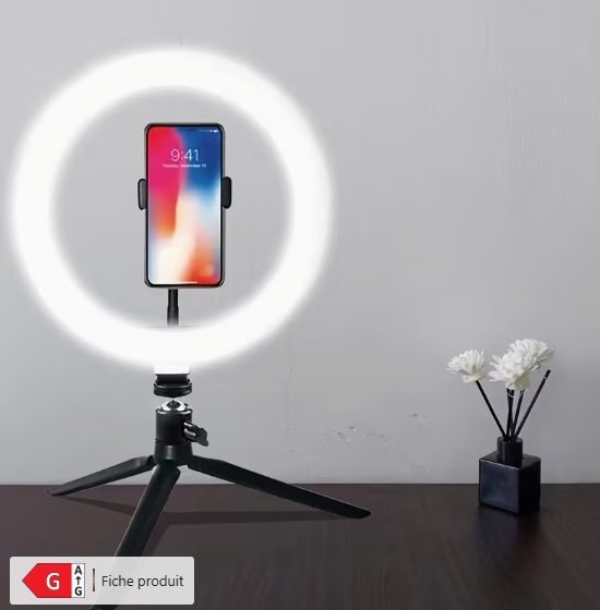 Phone stabilizer with a built-in LED ring light